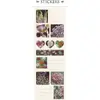 header-product