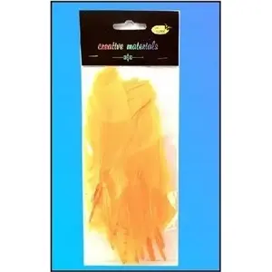 Feather Picks Titanum 10 pcs — hard peach-colored feathers for nail art and decoration
