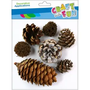 Decorative Pine Cones Craft with Fun NATURA SZY set of 7 — mixed natural finish