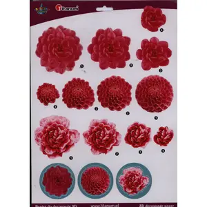 Decoupage Paper Titanum Papier 3D (model 22005) – multi-layer 3D sheets for paper crafting