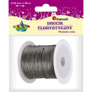 Decorative Wire Titanum 30 m x 0.45 mm, silver