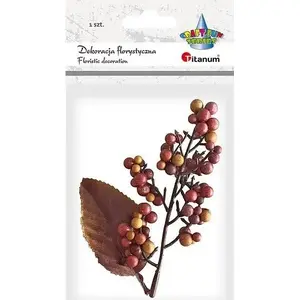 Planting bundle Titanum berry shrub mix with leaf, 1 piece, planting material