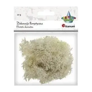 Tajemniczy ogród Mech chrobotek beżowy 20 g – naturalny mech dekoracyjny