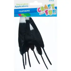 Craft with Fun decorative feathers set, model PIORKA GR, 6 pieces, 10–15 cm, black/gray