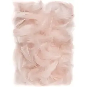 Decorative Feathers DP Craft model CEPI-022, Nude, 5–12 cm, pack (DP Craft)