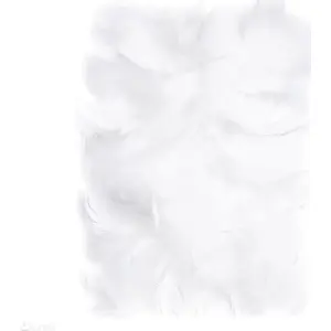 Feathers Dalprint DPCRAFT 5–12 cm white, decorative craft feathers, 10 g pack