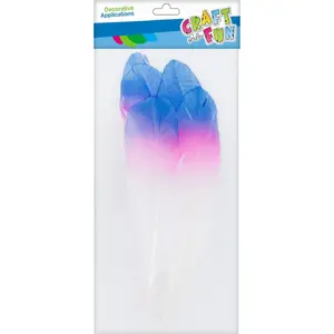 Dekoratīvās spalvas Craft with Fun CF OZDOBA PIORKA 17–22 cm, 6 gab., varavīksnes