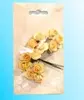 header-product