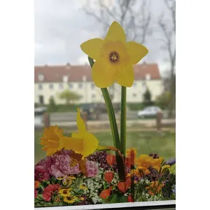 Artificial daffodil bouquet TEKA Wiosenne kwiaty Żonkile 3szt – set of 3 spring daffodil stems