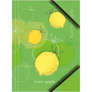 A4 cardboard document folder with corner elastic Tetis BT601-M1 — assorted fruits design (single piece)
