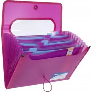 Folder Strigo A4 polypropylene with 12 dividers, pink