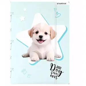 Document folder with elastic STARPAK STK TEC180 A4 clear plastic sleeves pack of 10