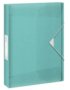 Box File ESSELTE Colour'Breeze A4 polypropylene 25 mm spine 330×253 mm