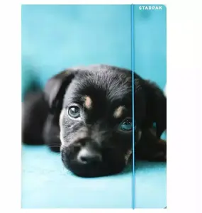 Document folder with elastic closure STARPAK A4, printed dogs design, capacity for A4 papers