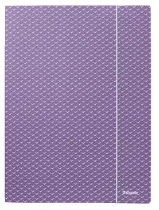Flap folder ESSELTE Colour'Breeze Card 3-Flap, A4, carton, 232×310×3 mm