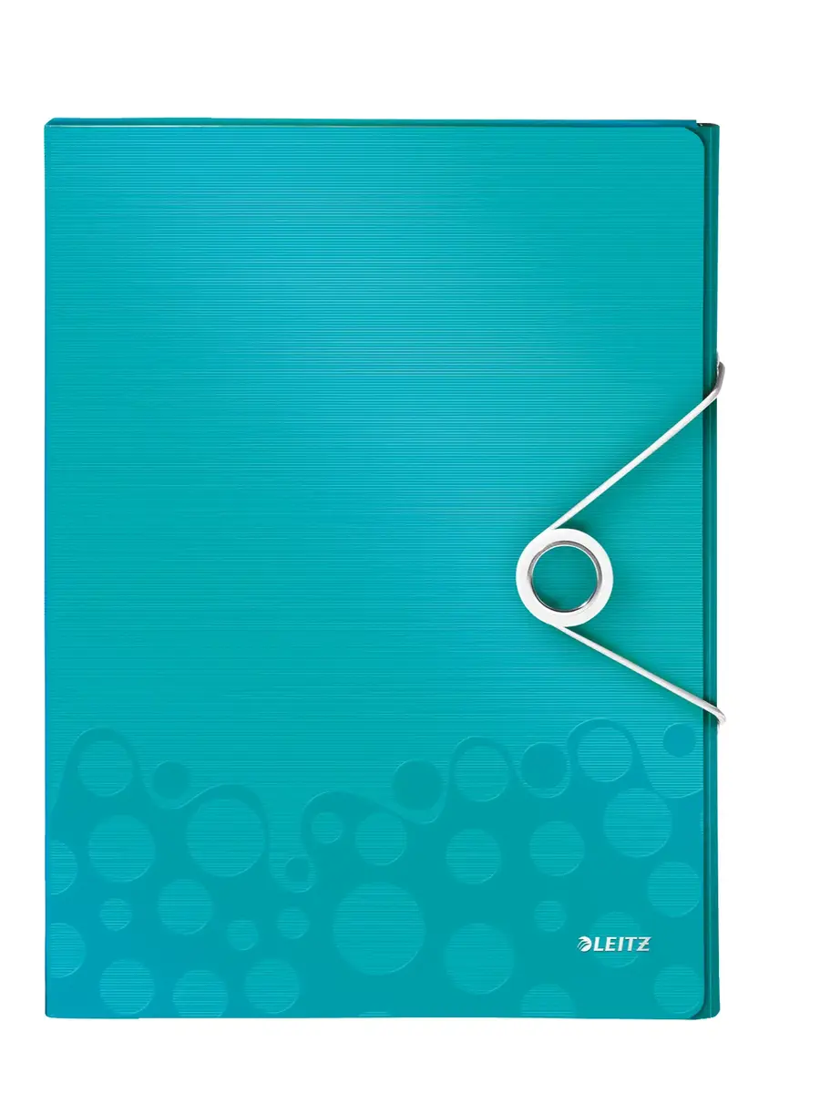Box file LEITZ WOW PP A4 Photo 2
