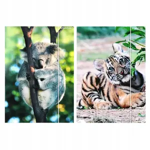 Folder with Elastic Strap STARPAK Wild Animal A4, 2 pcs — paper/cardboard document holder