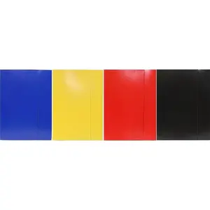 Rexus TECZKA KOLOR MIX WZORÓW 049 XW — dokumentu mapīte, maisīti krāsu/raibu paraugi (modelis 049 XW)