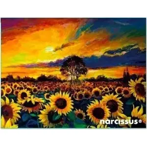 Plastic envelope folder TEKA model 616740 for A6 documents with sunflower print