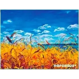 Envelope folder Elba A6 polypropylene (PP) — transparent sky color