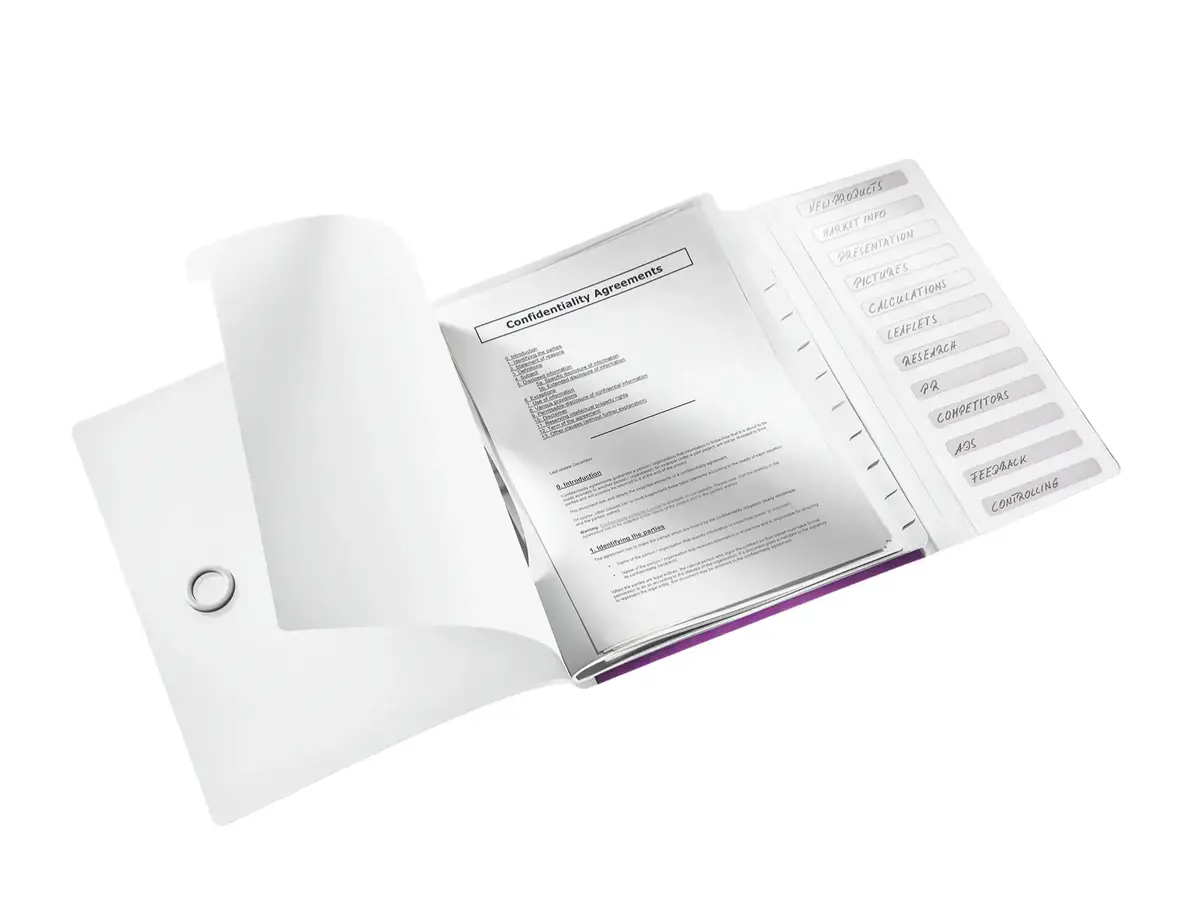 ESSELTE Leitz Divider Book WOW 12 tabs A4 Photo 2