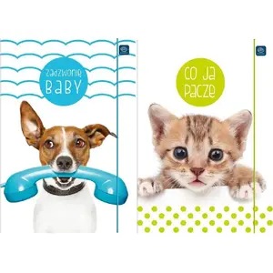Document folder with elastic INTERDRUK A4+ LUX UV Puppy Sign – pack of 10