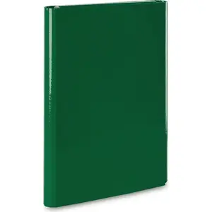 File Folder Vaupe A4 with Hook-and-Loop Fastener, Green, model 311/06