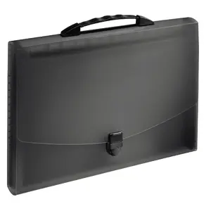 Briefcase ESSELTE 13406 — Polypropylene (PP) document briefcase, 430 g