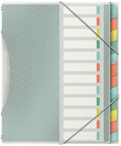 ESSELTE Colour'Breeze divider book with 12 tabs, polypropylene, multicolour, 266×20 mm