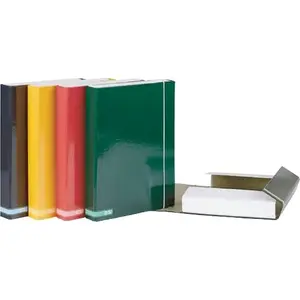 Document folder Bee-bee Teczka Box A4 with elastic closure, Classic Colors