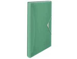 Expanding Concertina File folder ESSELTE Colour'Breeze, polypropylene, 330×25×60 mm, green