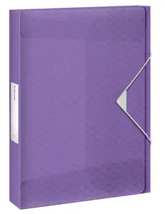 Box file ESSELTE Colour'Breeze A4 Lavender translucent, polypropylene, 25 mm spine