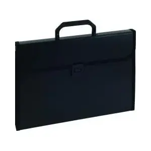 Briefcase Eagle 198112 with handle and document dividers