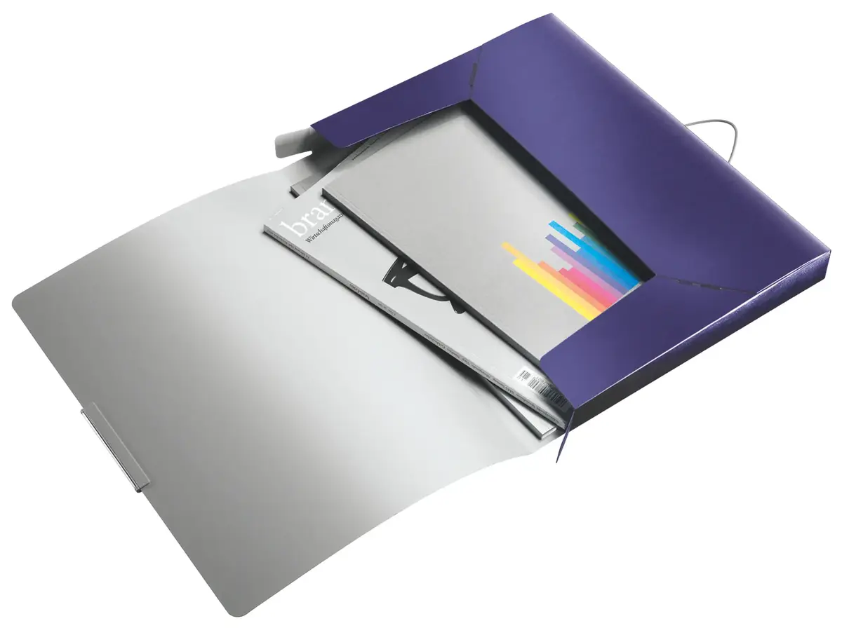Box File LEITZ Style PP A4 30 mm Photo 3