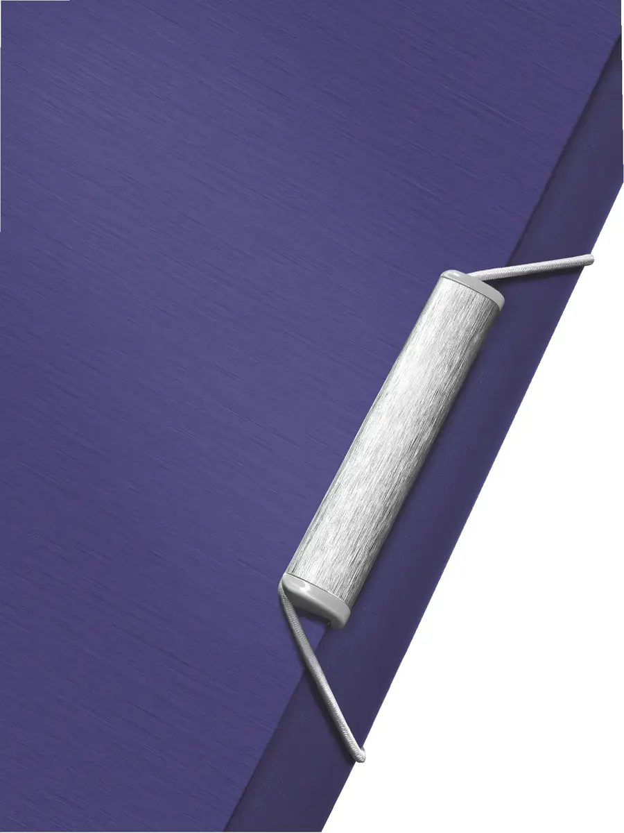Box File LEITZ Style PP A4 30 mm Photo 4
