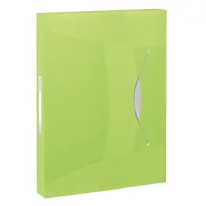 Box file Esselte Vivida PP A4, 40 mm spine, polypropylene, green