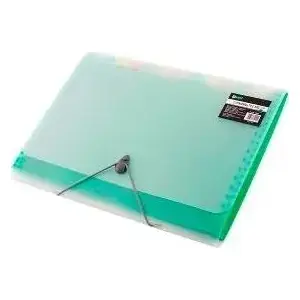 Document folder D.Rect Teczka A4 with 12 compartments, green
