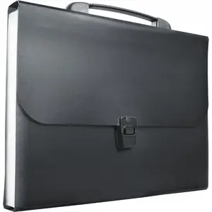 Accordion A4 Document Wallet TEKA with Handle, 13 Compartments, PP, Black