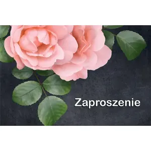 Ielūgumu kartītes TREND Universālas 10 gab. — tukšas, locāmas standarta izmērā