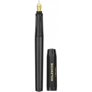 Moleskine fountain pen KAWECO x Moleskine M nib, black