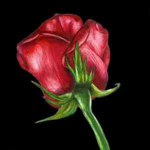 Envelope card Susan Entwistle SB11 — red rose design