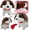 header-product