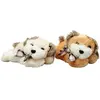 header-product