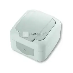 Electrical socket outlet VIKO PALMIYE single with earth and protective flap IP54 grey