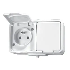 Schneider Electric hermētiska divkārša rozete ar slēdzi/zemi 16A IP44 balta NT230H01