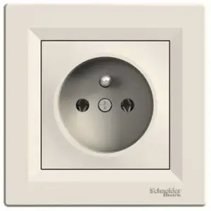 Schneider Electric single socket outlet with switch/earth, frameless, cream (EPH2800723)