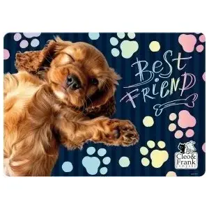 Table Mat Derform Cleo I Frank 44 Derf, PP placemat 290×400 mm