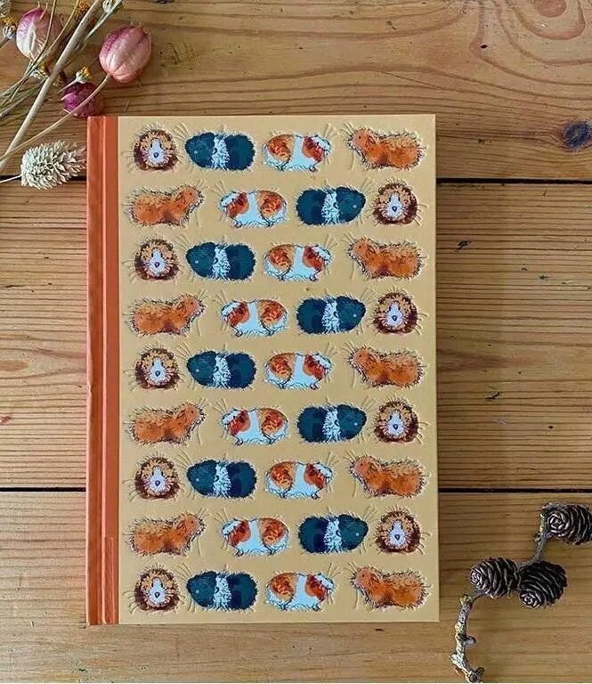 School Notebooks