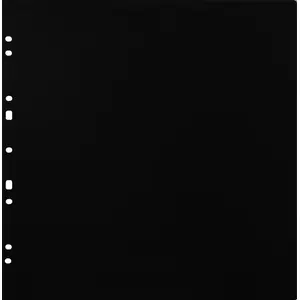 Ringbinder refill sheets Focus for Ringbinder Gigant Black — pack of 10, A4-compatible loose-leaf inserts