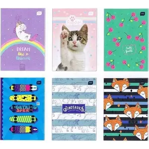 Notebook INTERDRUK A4 32 pages, colored ruled, pack of 10